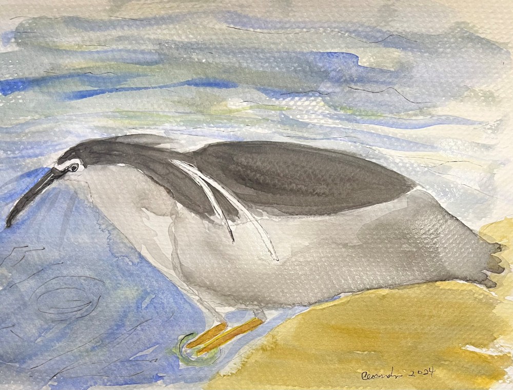 Episode 39 — Loose Watercolor Bird