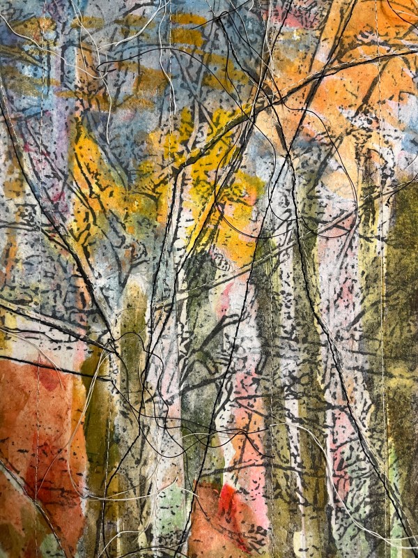 Foggy Forest