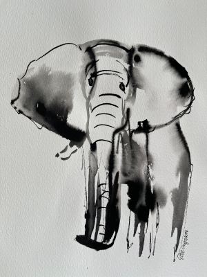 African Elephant