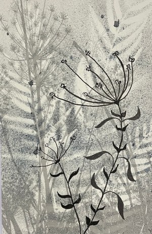 Queen Anne's Lace and Fennel